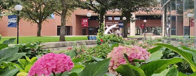 KCC north lawn and fall flowers